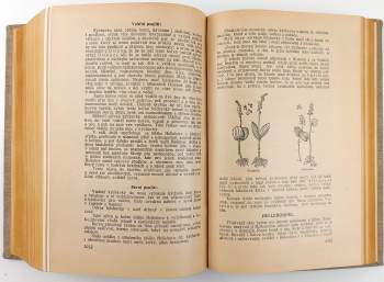 Pietro Andrea Mattioli: Dra Petra Ondřeje Mathiola přírodní léčba