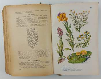 Pietro Andrea Mattioli: Dra Petra Ondřeje Mathiola přírodní léčba