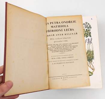 Pietro Andrea Mattioli: Dra Petra Ondřeje Mathiola přírodní léčba