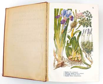 Pietro Andrea Mattioli: Dra Petra Ondřeje Mathiola přírodní léčba