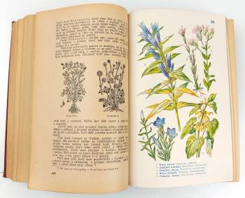 Pietro Andrea Mattioli: Dra Petra Ondřeje Mathiola přírodní léčba