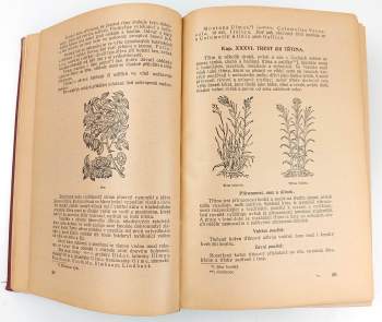 Pietro Andrea Mattioli: Dra Petra Ondřeje Mathiola přírodní léčba