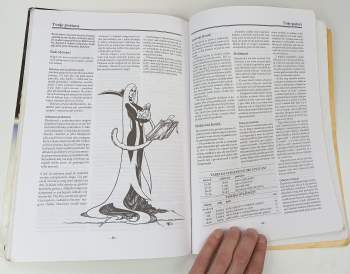 Robert Batušek: Dračí doupě - verze 1.6 - průvodce hrou - Pravidla pro experty - postavy