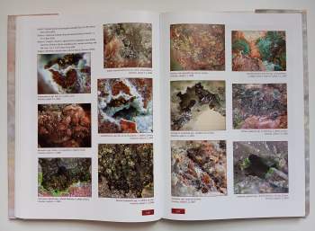 Vlastimil Toegel: Drahokamy kolem nás