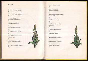 Markéta Zinnerová: Drak Mrak