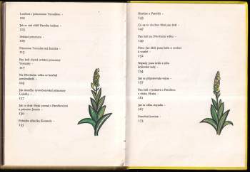 Markéta Zinnerová: Drak Mrak