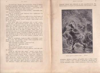Jules Verne: Drama v Livonsku