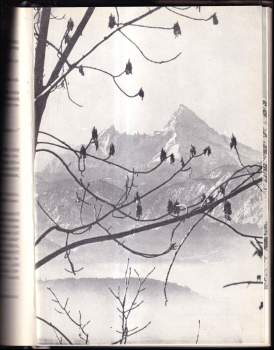 Helma Schimke: Dráma veľhôr