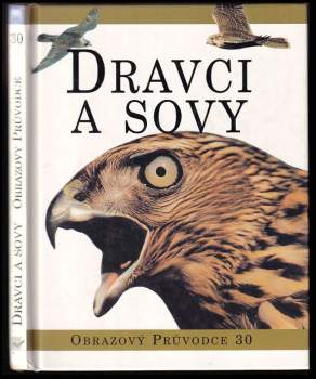 Dravci a sovy