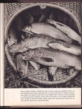 Sláva Štochl: Dravci Peřejí