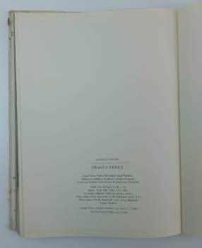 Sláva Štochl: Dravci peřejí