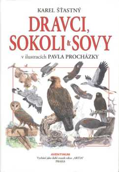 Dravci, sokoli & sovy
