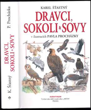 Dravci, sokoli & sovy