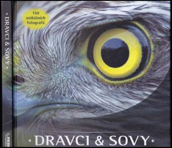 Dravci & sovy