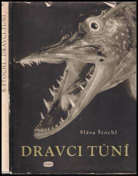Dravci tůní