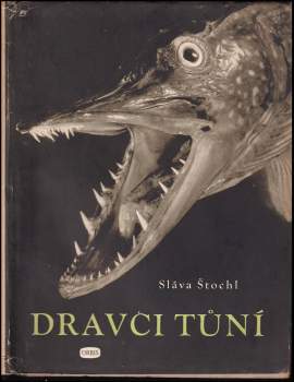 Sláva Štochl: Dravci tůní