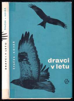 Dravci v letu