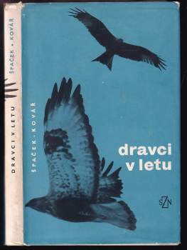 Dravci v letu