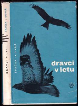 Dravci v letu
