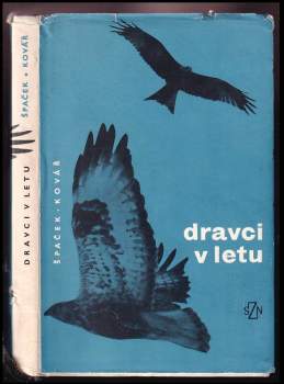 Dravci v letu