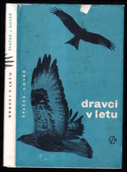 Dravci v letu