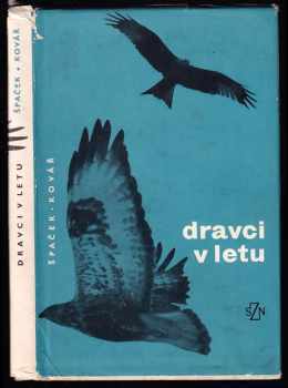 Miroslav Špaček: Dravci v letu