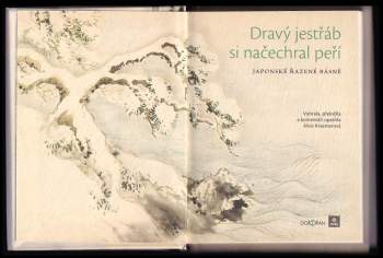 Dravý jestřáb si načechral peří