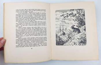 Jan Vrba: Dražinovská hora