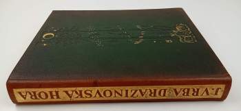 Jan Vrba: Dražinovská hora