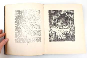 Jan Vrba: Dražinovská hora