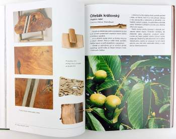 Martin Patřičný: Dřevo krásných stromů