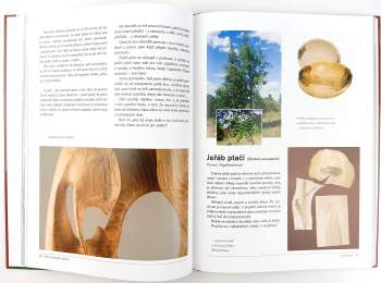 Martin Patřičný: Dřevo krásných stromů