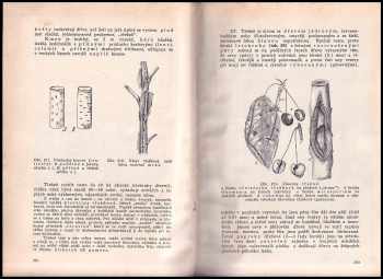 František Jirout: Dřevo v přírodě a řemeslech, v živnosti a průmyslu vůbec:  1. díl Příručka technologická + 2. díl Technologie dřeva KOMPLET