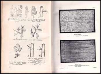 František Jirout: Dřevo v přírodě a řemeslech, v živnosti a průmyslu vůbec:  1. díl Příručka technologická + 2. díl Technologie dřeva KOMPLET