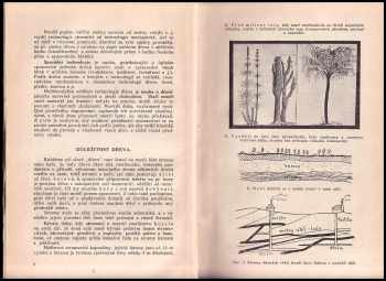 František Jirout: Dřevo v přírodě a řemeslech, v živnosti a průmyslu vůbec:  1. díl Příručka technologická + 2. díl Technologie dřeva KOMPLET