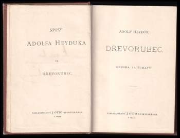 Adolf Heyduk: Dřevorubec