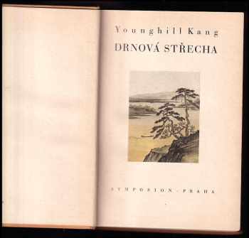 Younghill Kang: Drnová střecha