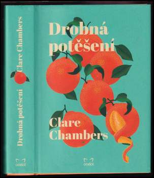 Clare Chambers: Drobná potěšení