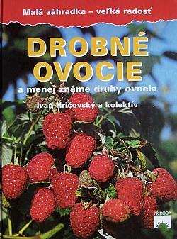 Drobné ovocie a menej známe druhy ovocia