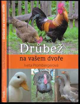 Iveta Prombergerová: Drůbež na vašem dvoře