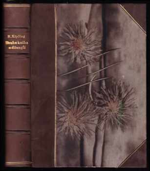 Druhá kniha o džungli - Rudyard Kipling (1928, Jos. R. Vilímek) - ID: 188028