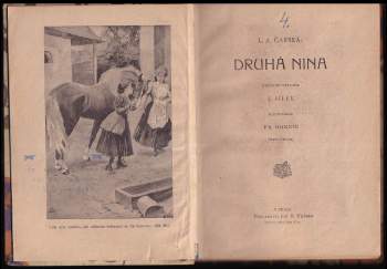 Lidija Aleksejevna Čarskaja: Druhá Nina