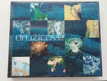 Družicové mapy