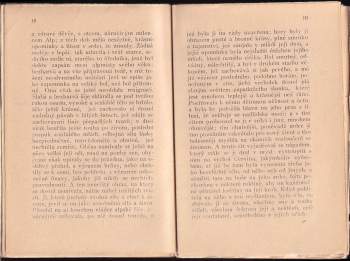 Edmondo De Amicis: Dub a květinka