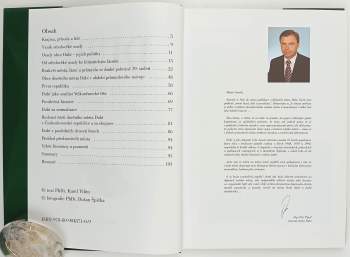 Karel Vilím: Dubí