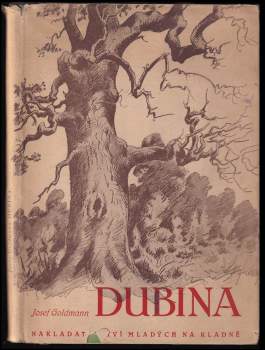 Dubina