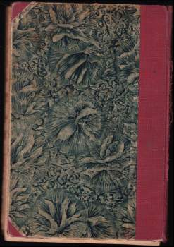 Karl May: Duch prérie