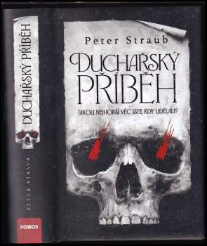 Peter Straub: Duchařský příběh