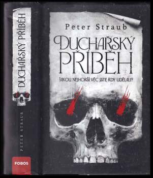 Peter Straub: Duchařský příběh