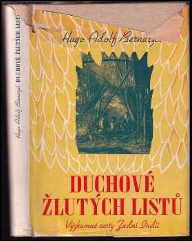 Duchové žlutých listů